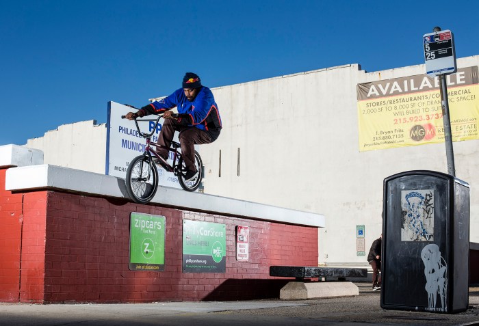 DOLECKI_DELAROSA_2013